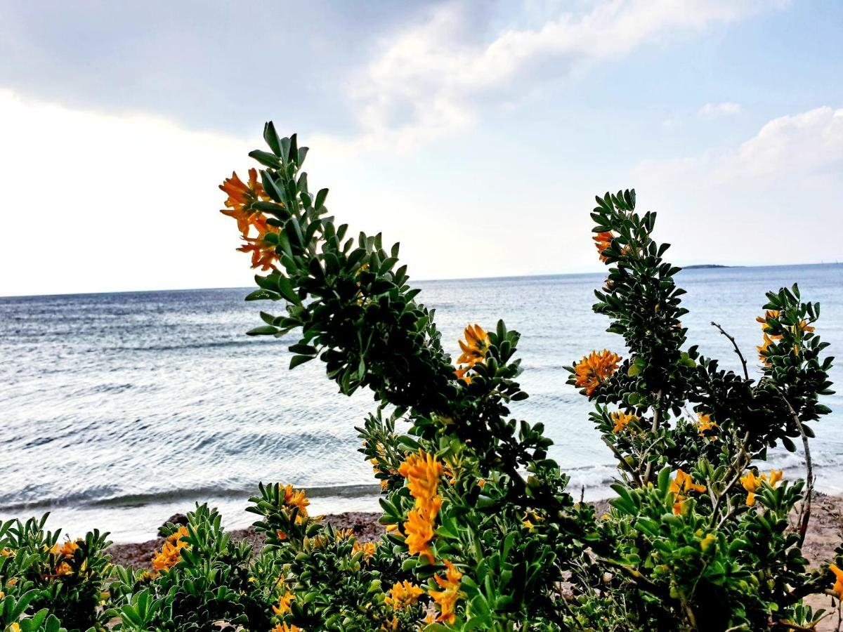 Beautiful Brand New Apartment Seaside Ateny Zewnętrze zdjęcie